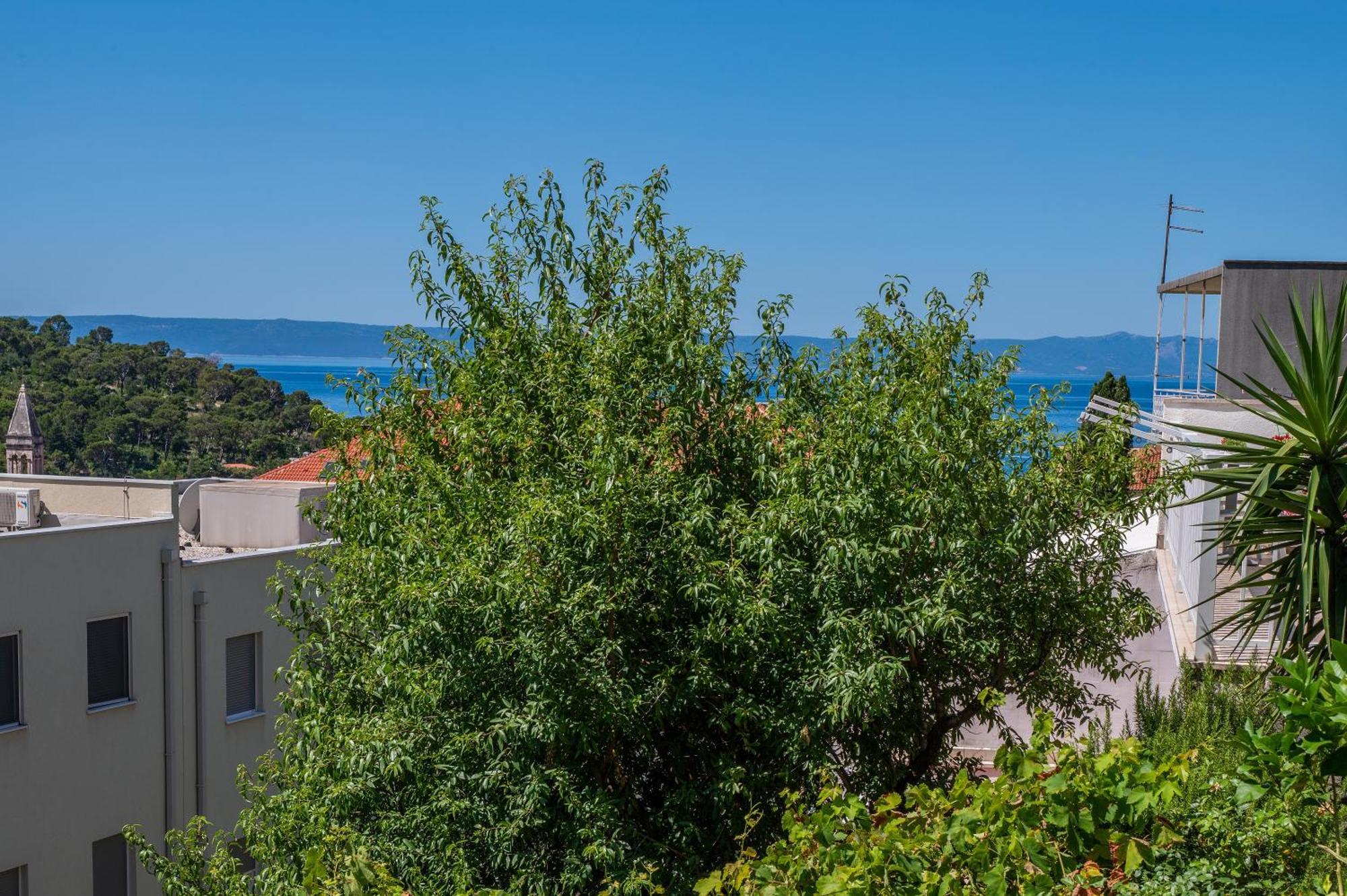 Apartmani Sani Makarska Dış mekan fotoğraf